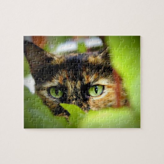 Sasha ジグソーパズル (横)