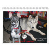 SASHA 2009のカレンダー カレンダー (カバー)