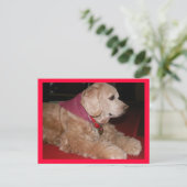 sassygirl ポストカード (スタンド正面)