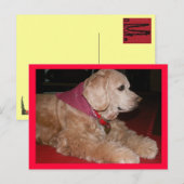 sassygirl ポストカード (正面/裏面)