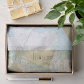 Savannah川とWassawサウンドグラフバージョン2 薄葉紙 (ギフト)