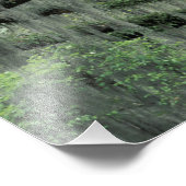 Savannah、ジョージア、Live Oakの木に覆われた フォトプリント (角)