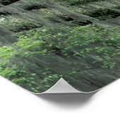 Savannah、ジョージア、Live Oakの木に覆われた ポスター (角)