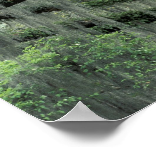 Savannah、ジョージア、Live Oakの木に覆われた ポスター (角)