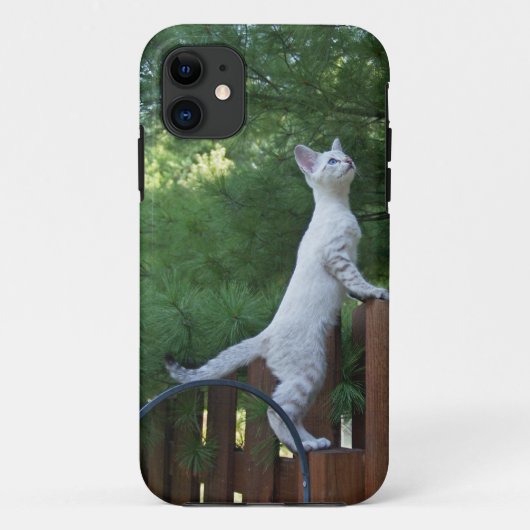 Savannah Cat iPhone 5カスタムケース – メイトID Case-Mate iPhoneケース (裏面)