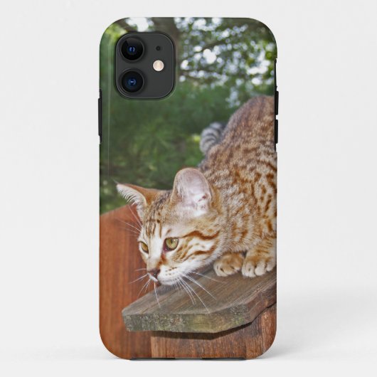 Savannah Cat iPhone 5カスタムケース – メイトID Case-Mate iPhoneケース (裏面)