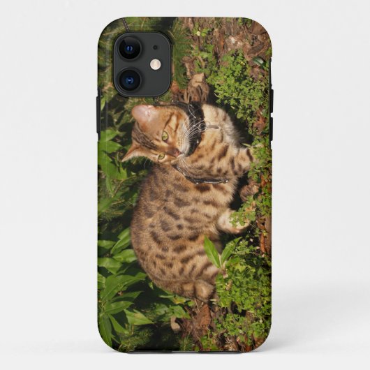 Savannah Cat iPhone 5カスタムケース – メイトID Case-Mate iPhoneケース (裏面)