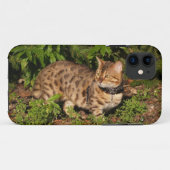 Savannah Cat iPhone 5カスタムケース – メイトID Case-Mate iPhoneケース (裏面(横))