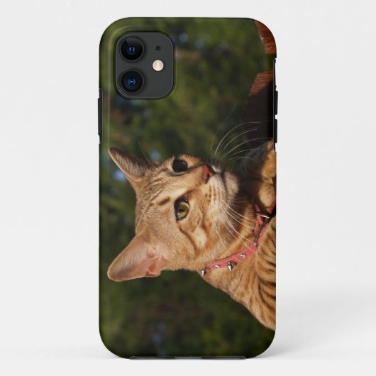 Savannah Cat iPhone 5カスタムケース – メイトID Case-Mate iPhoneケース (裏面)