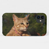 Savannah Cat iPhone 5カスタムケース – メイトID Case-Mate iPhoneケース (裏面(横))