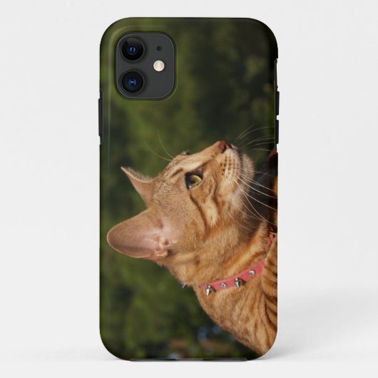 Savannah Cat iPhone 5カスタムケース – メイトID Case-Mate iPhoneケース (裏面)