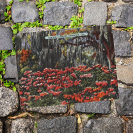 Savannah GAポストカードの開花のツツツジ ポストカード