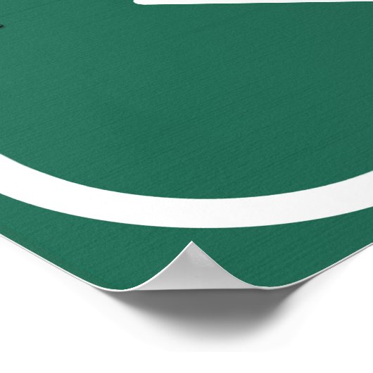 Savannah Georgia ga Interstate Highway Freeway : ポスター (角)