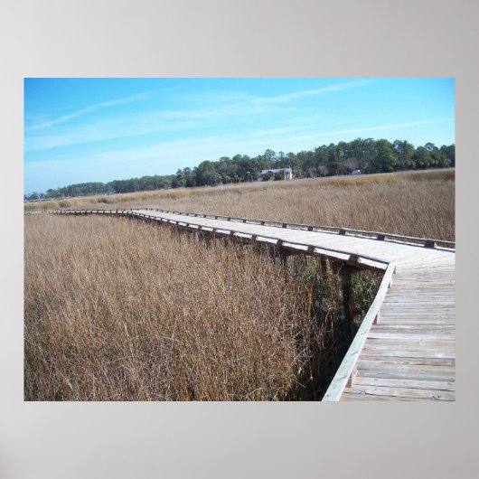 Savannah Georgia Tybee Island Path Trail Poster GA ポスター (正面)