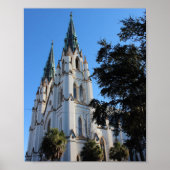 Savannah Series: Cathedral ポスター (正面)