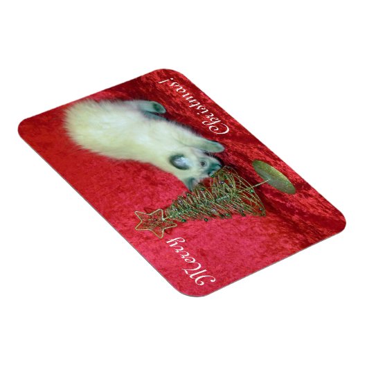 Savannah's Christmas Magnet - Cat / Kitten マグネット (右側)