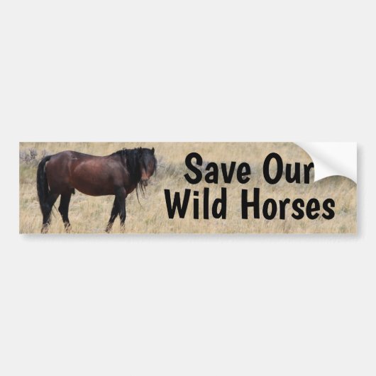 Save Our Wild Horses Campaign Bumper Sticker バンパーステッカー (正面)