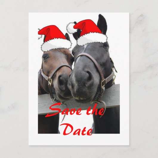 Save the Date/クリスマスの馬 案内ポストカード (正面)