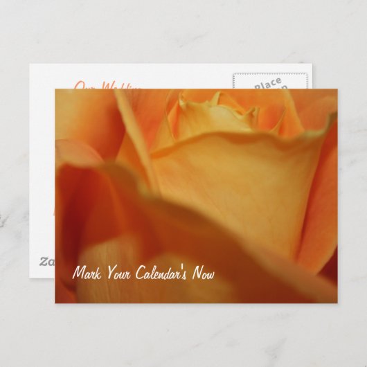 Save The Date ポストカード (正面/裏面)