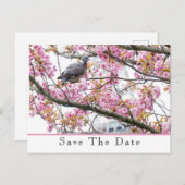 Save The Date 発表 ポストカード (正面/裏面)