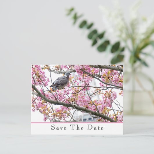 Save The Date 発表 ポストカード (スタンド正面)