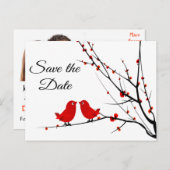 Save the Date 結婚's Love Birds Photo Post Card 案内ポストカード (正面/裏面)