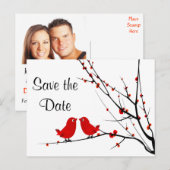 Save the Date 結婚's Love Birds Photo Post Card 案内ポストカード (正面/裏面)