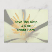Save The Date Bloodroot Flower 案内ポストカード (正面)