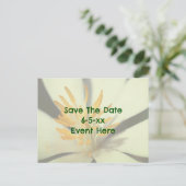 Save The Date Bloodroot Flower 案内ポストカード (スタンド正面)