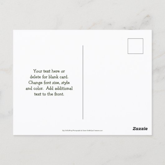 Save The Date Bullfrog Nature ポストカード (裏面)