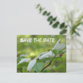 Save The Date Dogwood Flower Photo 案内ポストカード (スタンド正面)