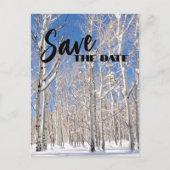 Save The Date Family懇親会Snowy Winter《植物》アスペン 案内ポストカード (正面)