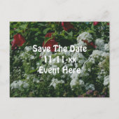 Save The Date Hibiscus Phlox Flower Garden 案内ポストカード (正面)
