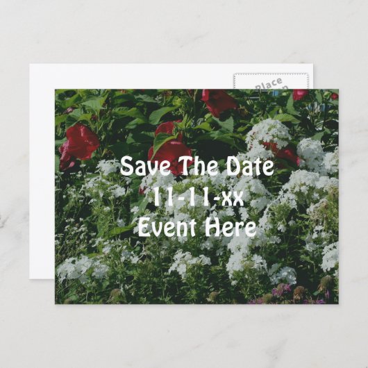 Save The Date Hibiscus Phlox Flower Garden 案内ポストカード (正面/裏面)