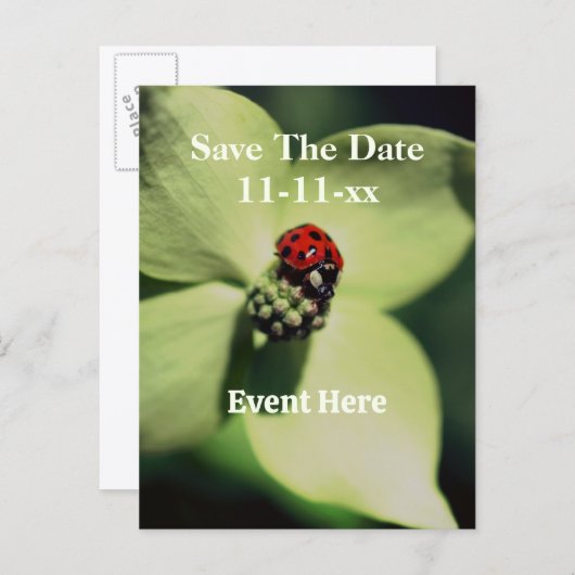 Save The Date Ladybug On Flower 案内ポストカード (正面/裏面)