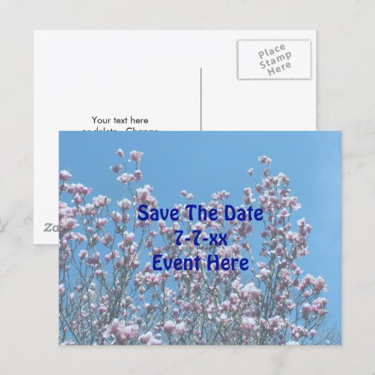 Save The Date Magnolia Flower Blossoms  案内ポストカード (正面/裏面)