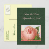 Save the Date Pink Botanicalバラ葉書 案内ポストカード (正面/裏面)