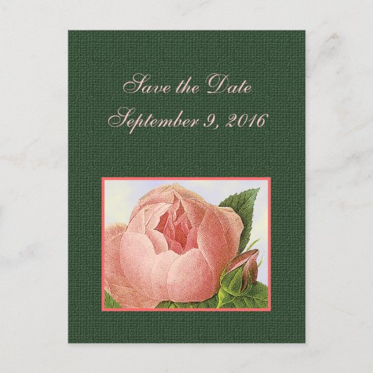 Save the Date Pink Botanicalバラ葉書 案内ポストカード (正面)
