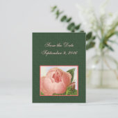 Save the Date Pink Botanicalバラ葉書 案内ポストカード (スタンド正面)