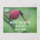 Save The Date Red Dragonfly Nature  案内ポストカード (正面)
