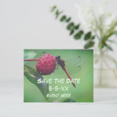Save The Date Red Dragonfly Nature  案内ポストカード (スタンド正面)