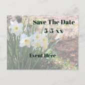 Save The Date White Daffodil Flowers 案内ポストカード (正面)