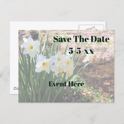Save The Date White Daffodil Flowers 案内ポストカード (正面/裏面)