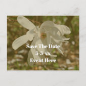 Save The Date White Magnolia Flower  案内ポストカード (正面)