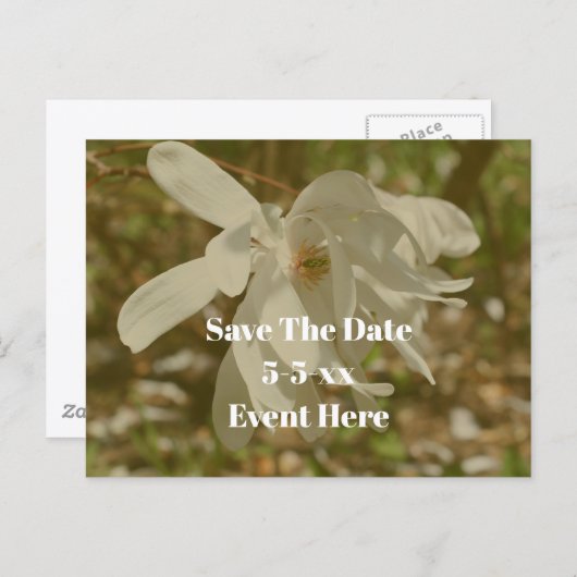 Save The Date White Magnolia Flower  案内ポストカード (正面/裏面)