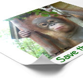 Save the Orangutans ポスター (角)