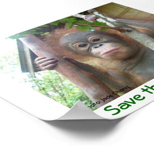 Save the Orangutans ポスター (角)