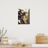 Savuka huging Oriole – ポスター (キッチン)