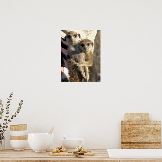 Savuka huging Oriole – ポスター (キッチン)