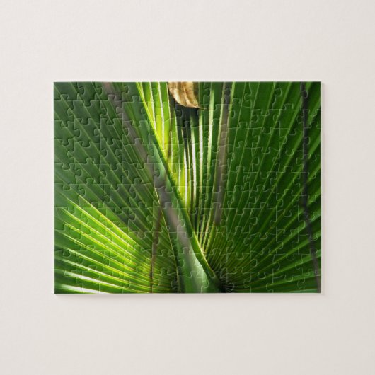Saw Palmetto Photoクローズアップ ジグソーパズル (横)